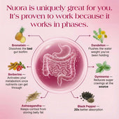 Nuora Gut Ritual image 7